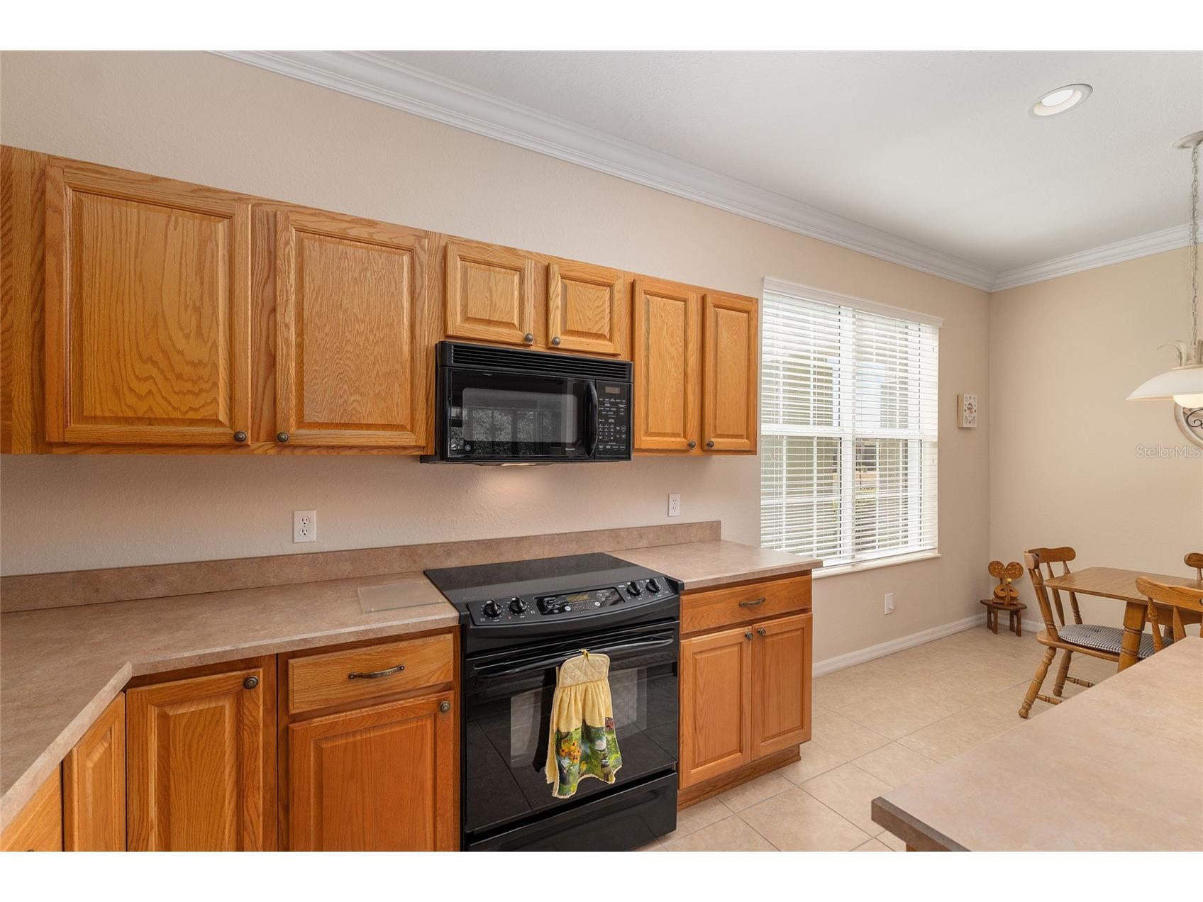 9003 SE 118th Lane Summerfield FL 34491 OM721111 image34