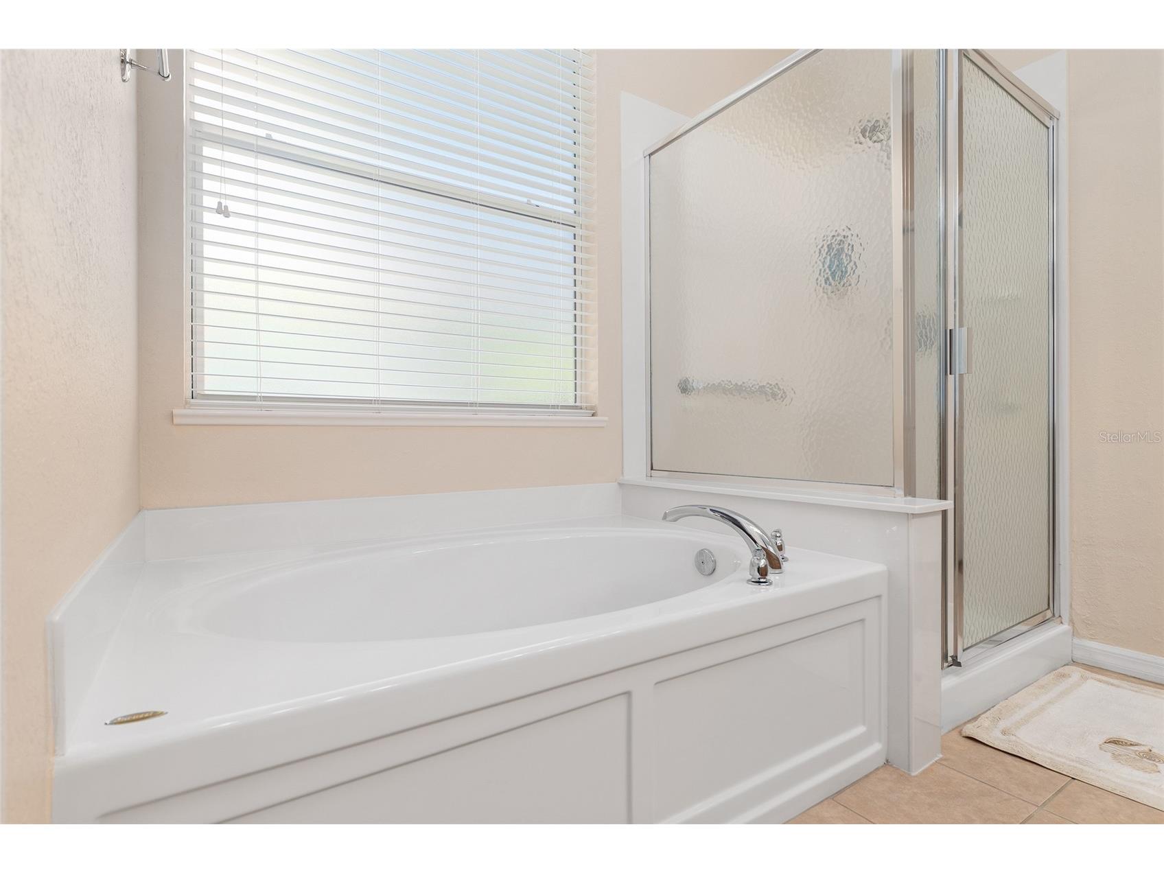 9003 SE 118th Lane Summerfield FL 34491 OM721111 image47