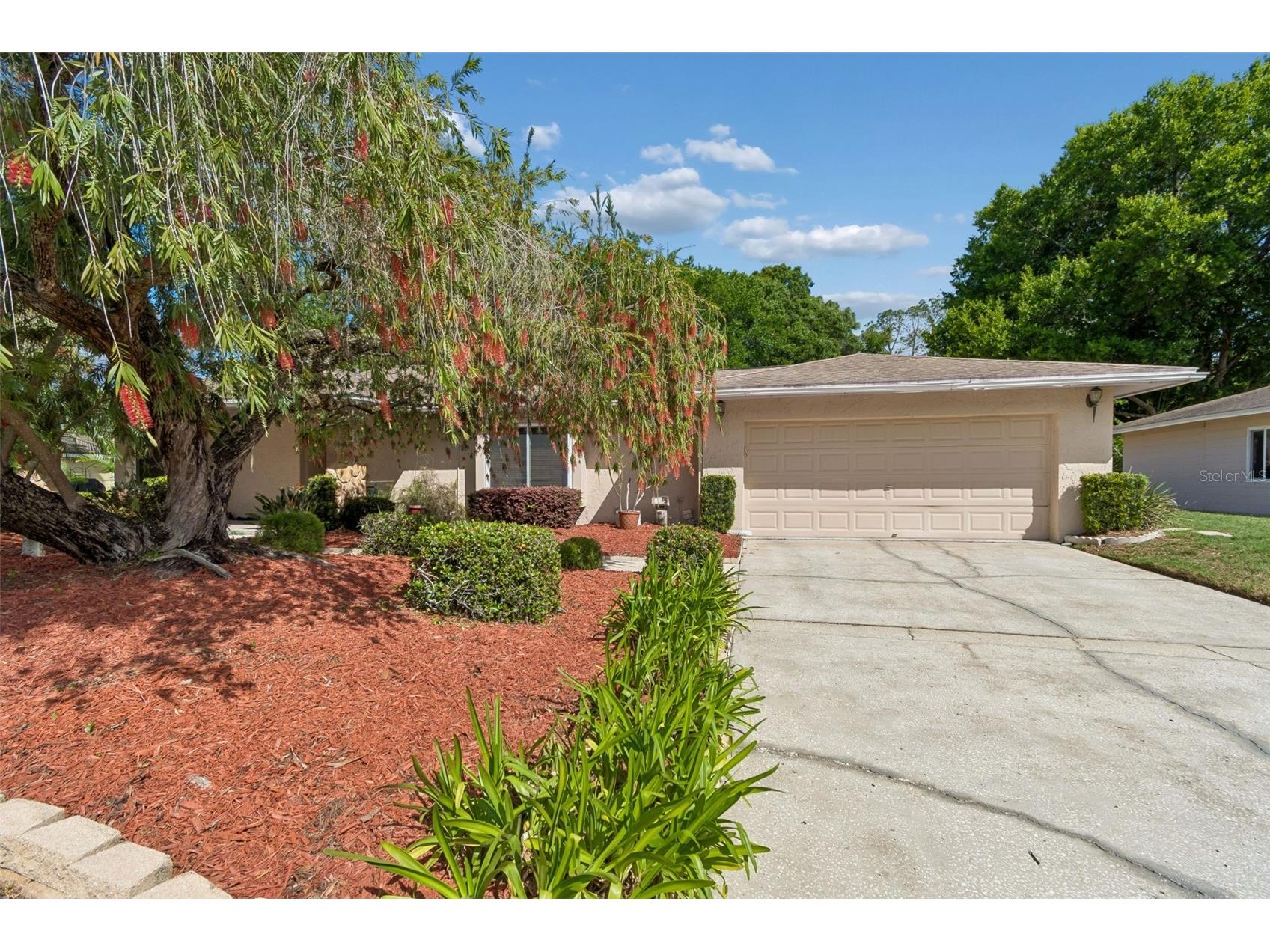 9004 Hogans Bend Tampa FL 33647 TB8489705 image1