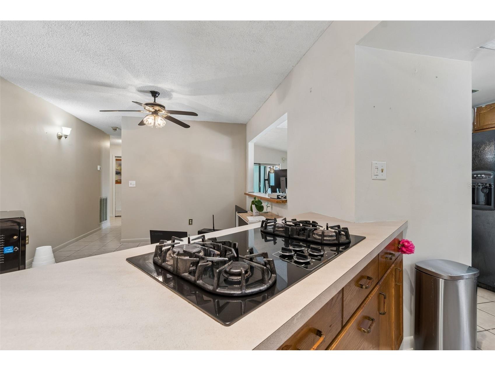 9004 Hogans Bend Tampa FL 33647 TB8489705 image19