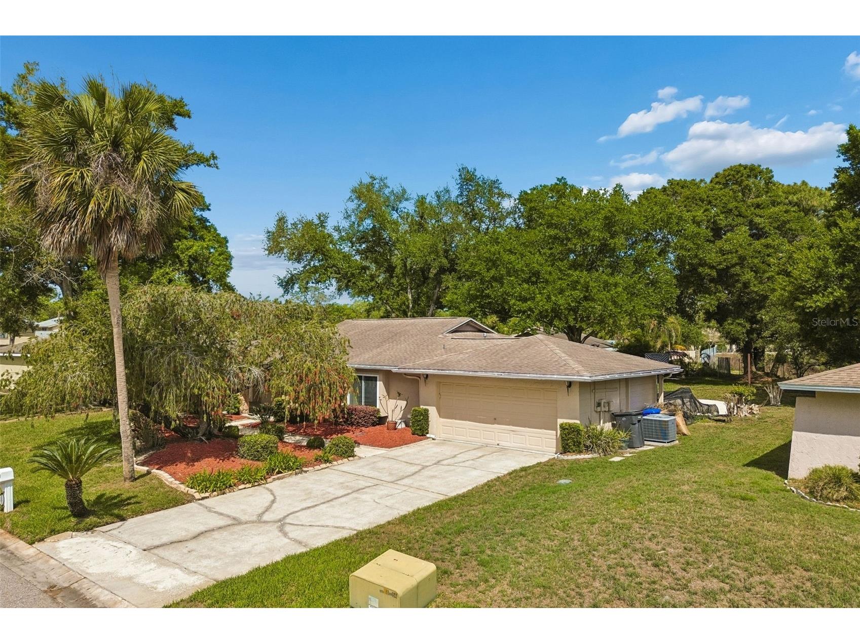 9004 Hogans Bend Tampa FL 33647 TB8489705 image38