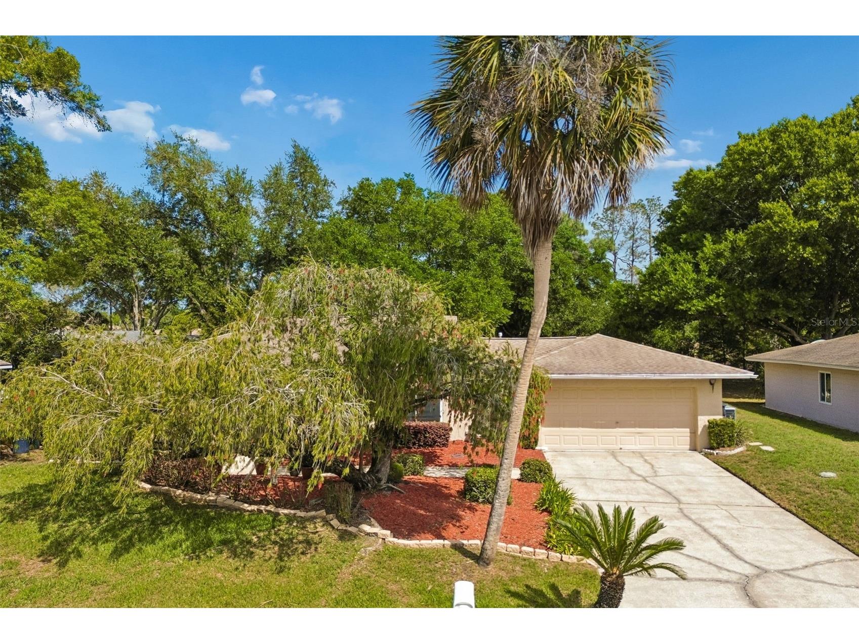 9004 Hogans Bend Tampa FL 33647 TB8489705 image39