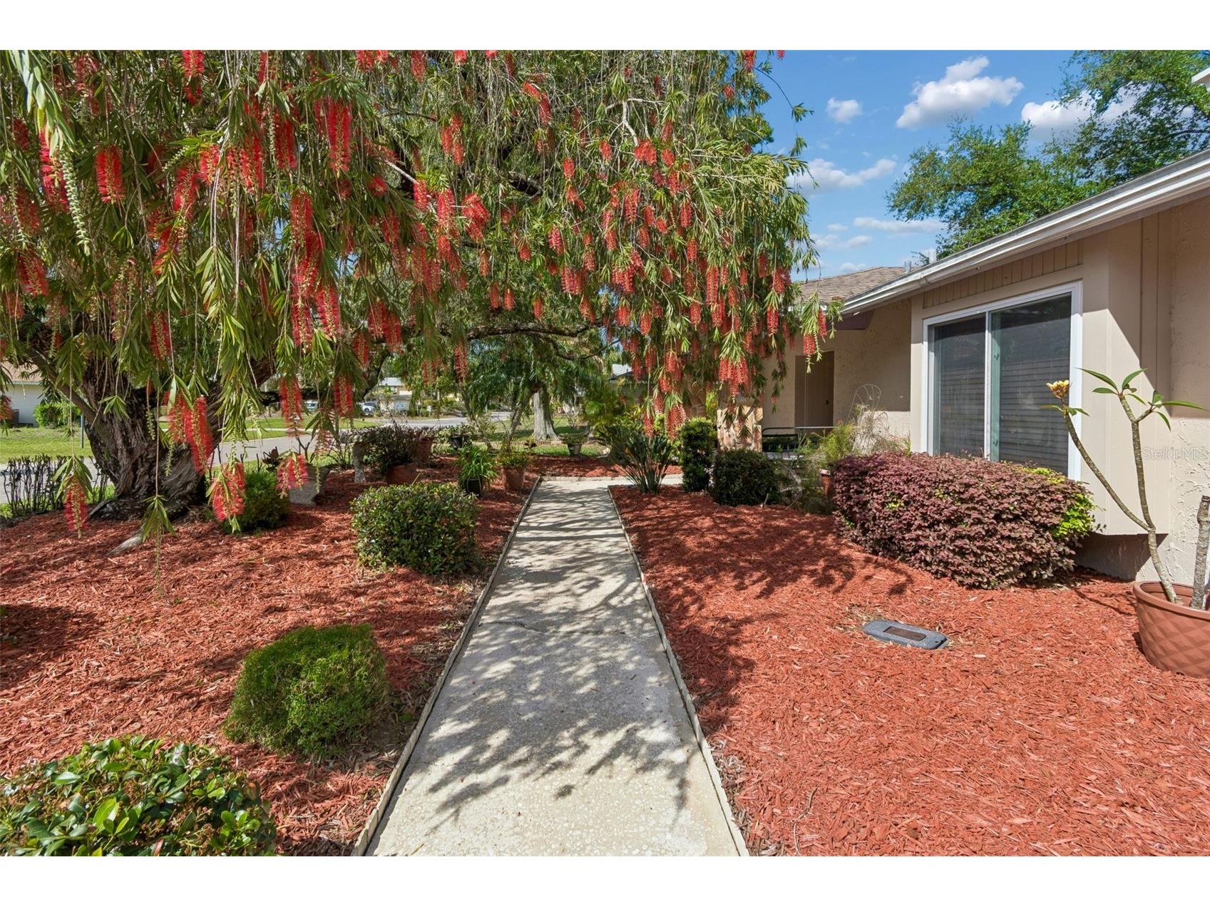 9004 Hogans Bend Tampa FL 33647 TB8489705 image4