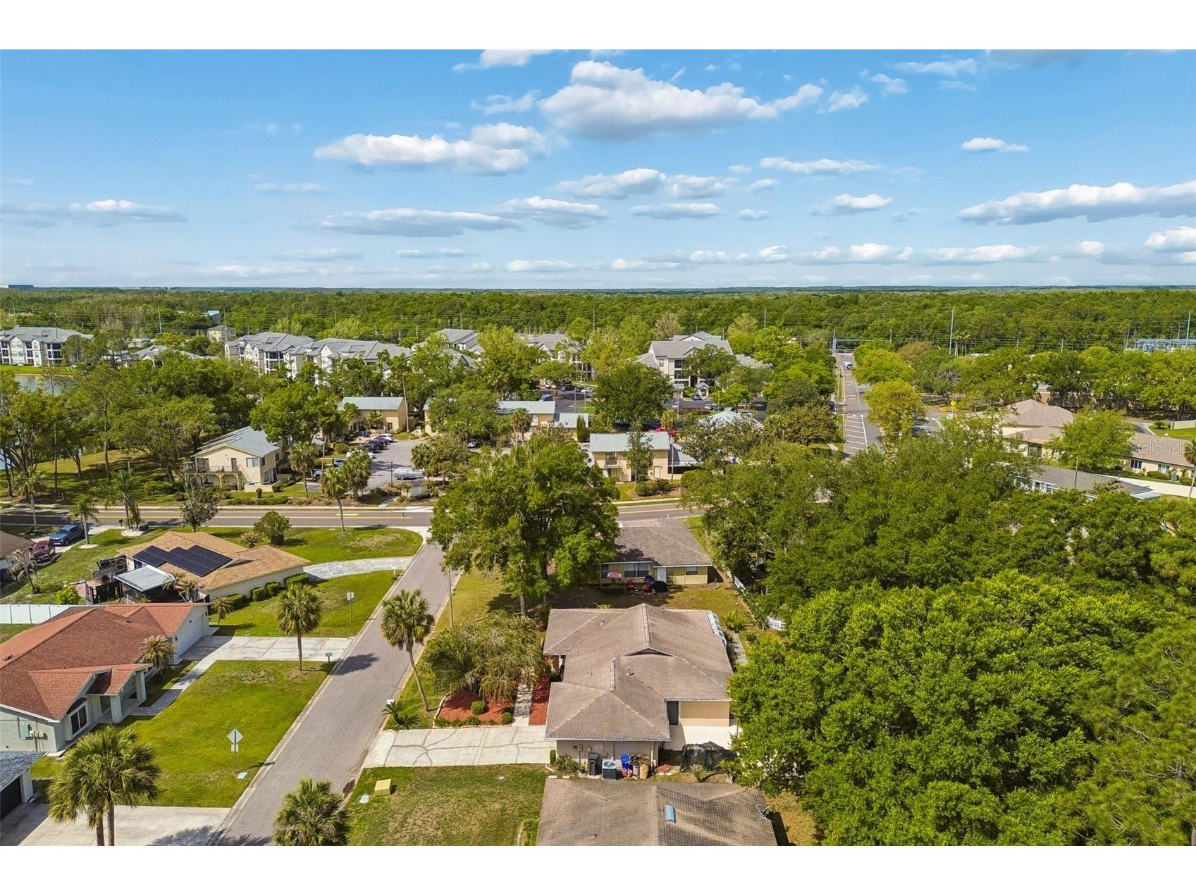 9004 Hogans Bend Tampa FL 33647 TB8489705 image42