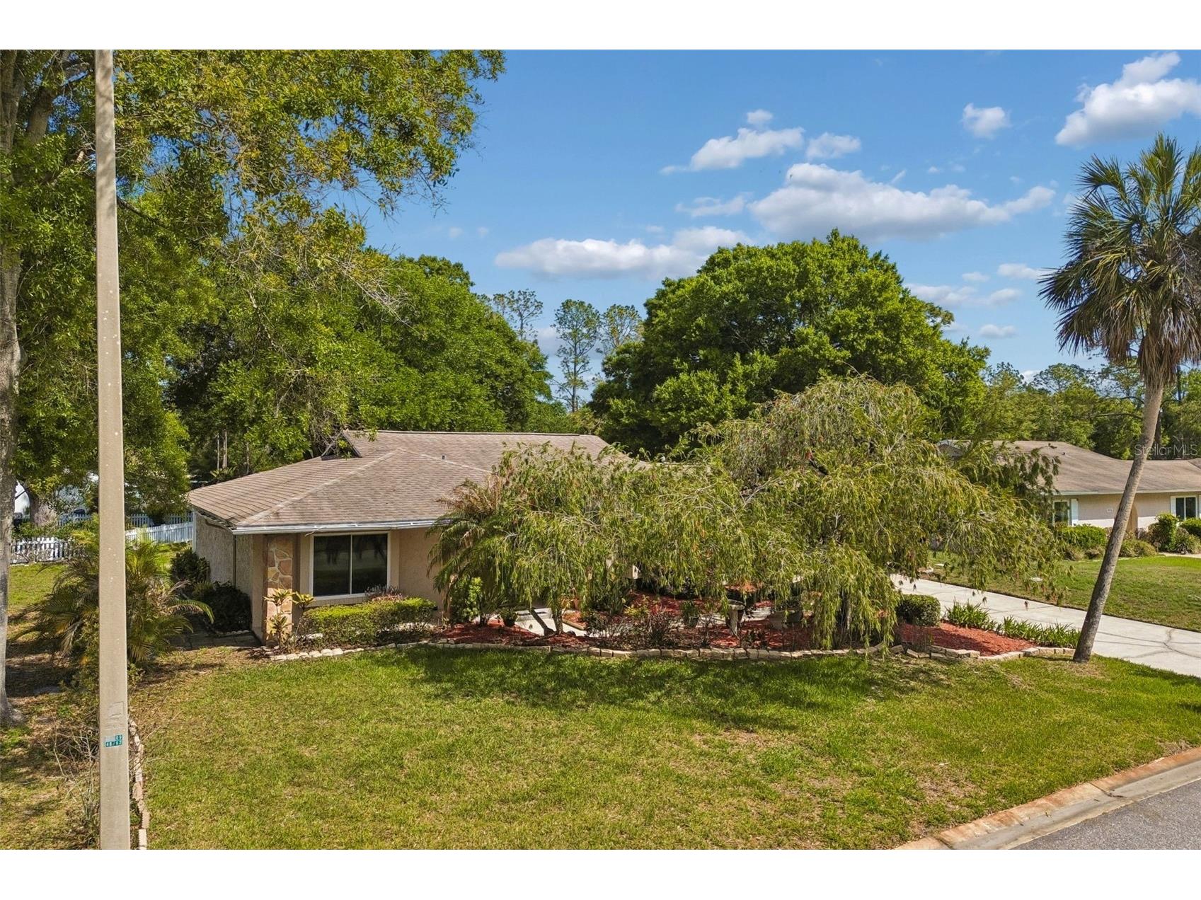 9004 Hogans Bend Tampa FL 33647 TB8489705 image7