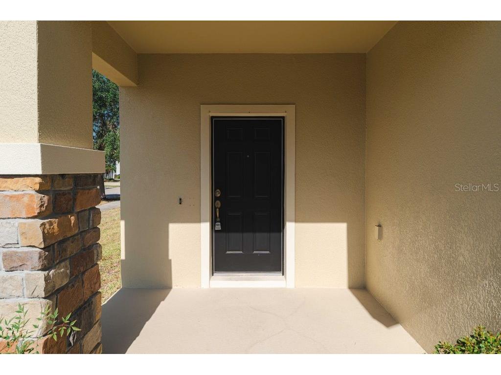 9004 Mountain Magnolia Drive Riverview FL 33578 TB8456474 image4