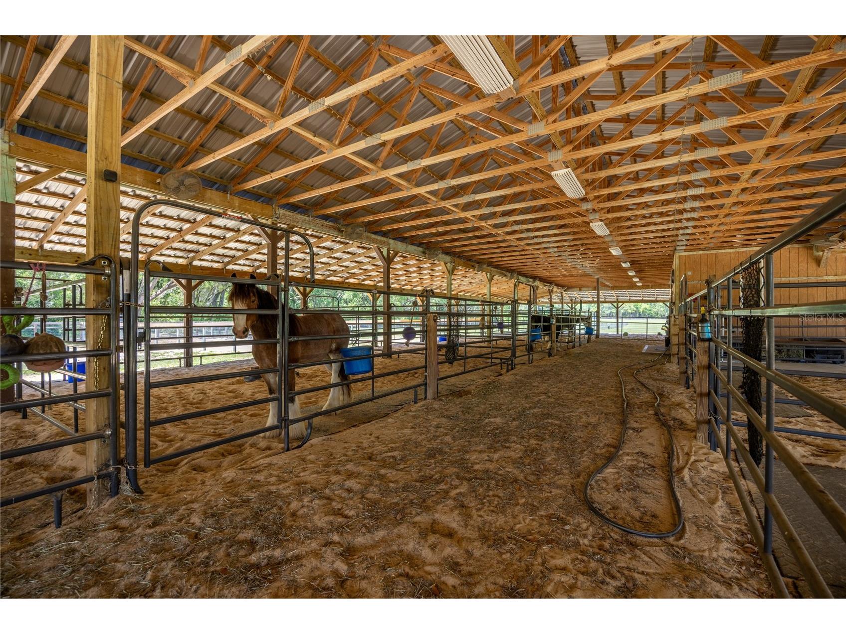 9004 NW 226th Street Alachua FL 32615 GC539329 image42