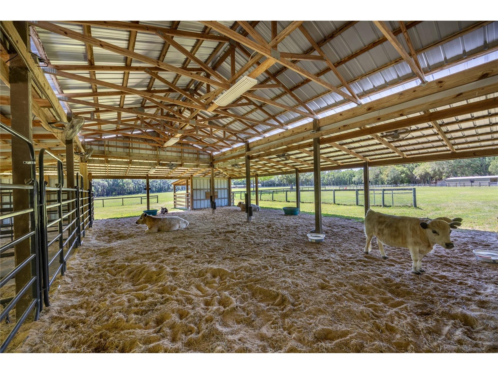 9004 NW 226th Street Alachua FL 32615 GC539329 image66