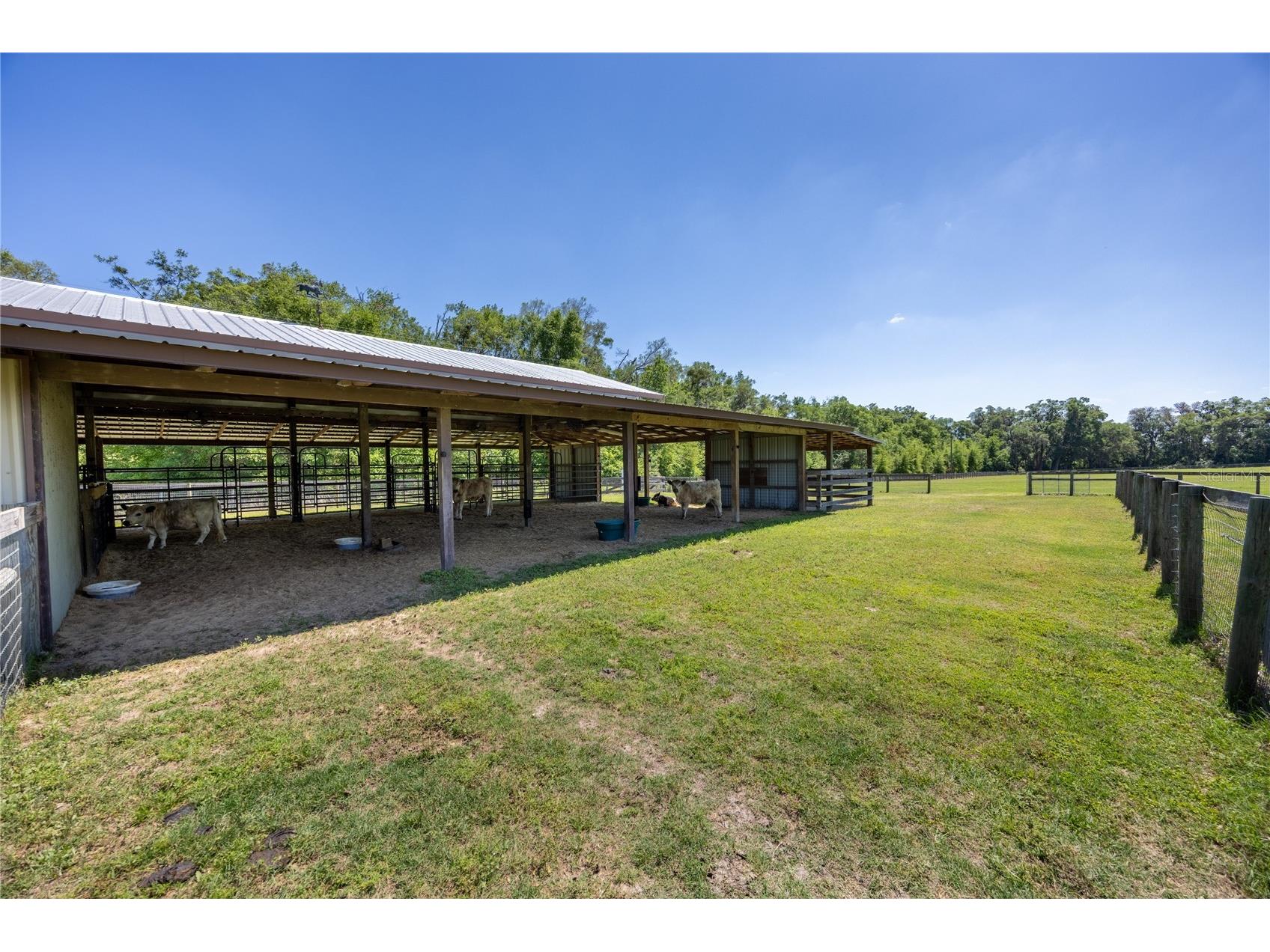 9004 NW 226th Street Alachua FL 32615 GC539329 image67