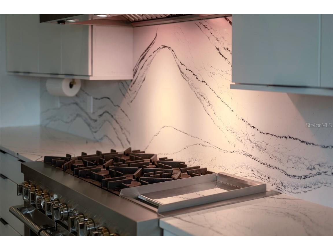 9004 Santorini Drive Orlando FL 32827 S5134007 image14