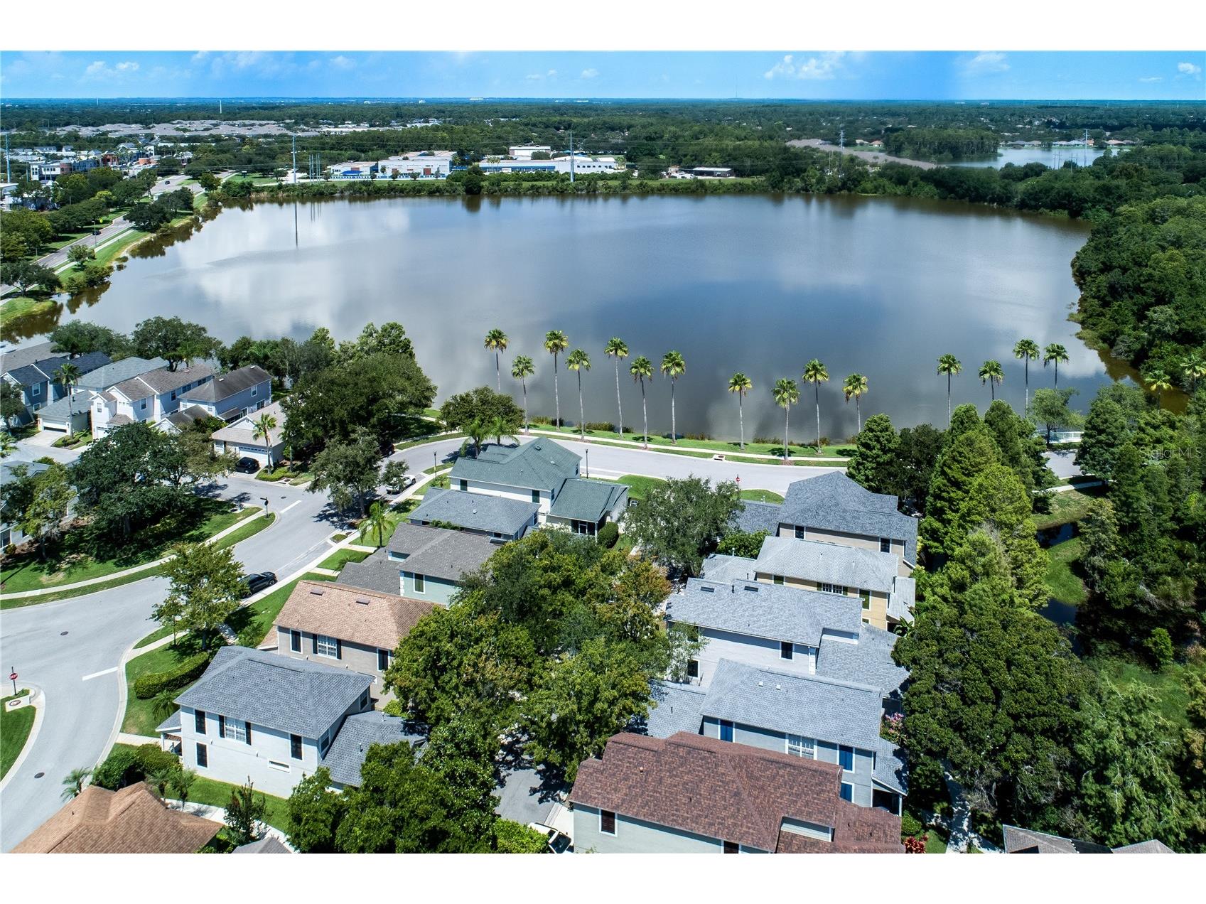 9005 English Silver Way Tampa FL 33626 TB8527493 image3