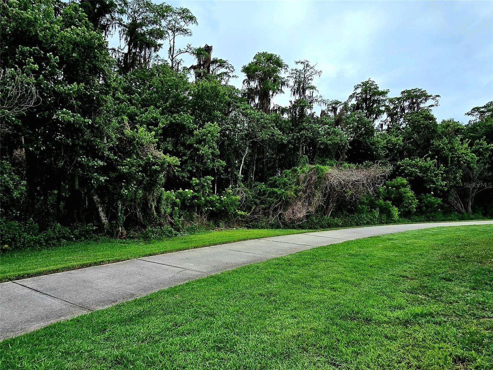 9005 Lee Vista Blvd #1803 Orlando FL 32829 S5148678 image25