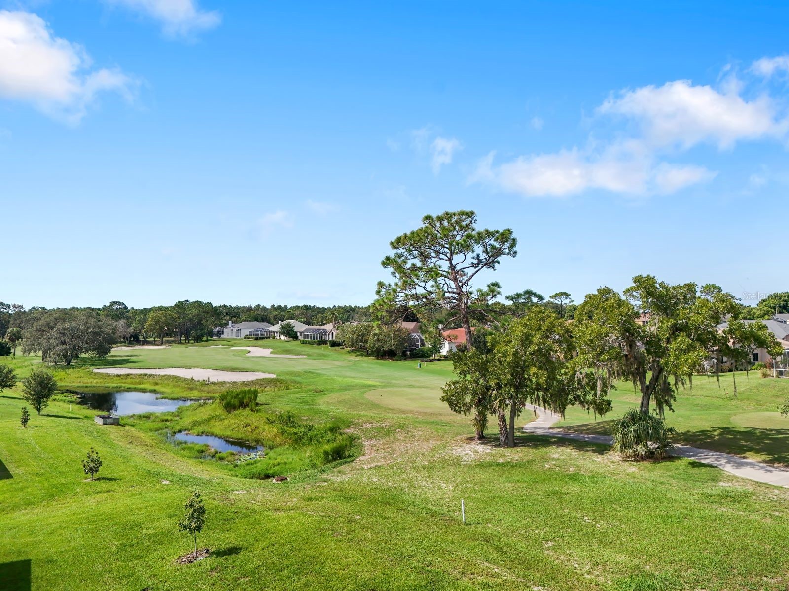 9005 Players Drive Weeki Wachee FL 34613 S5127459 image35