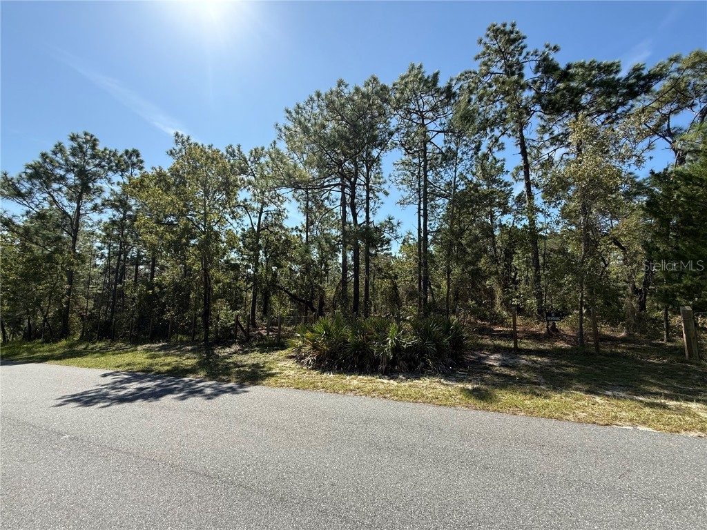 9006 Michigan Avenue Weeki Wachee FL 34613 W7878999 image1