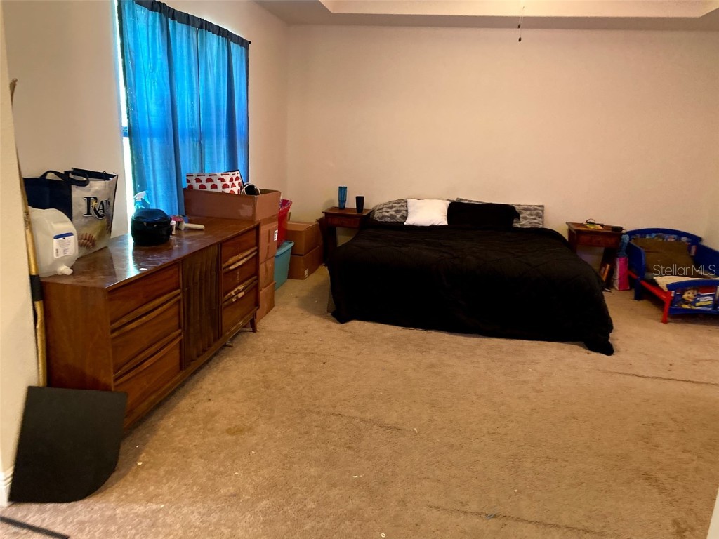 9007 49th Avenue E Palmetto FL 34221 W7875092 image13