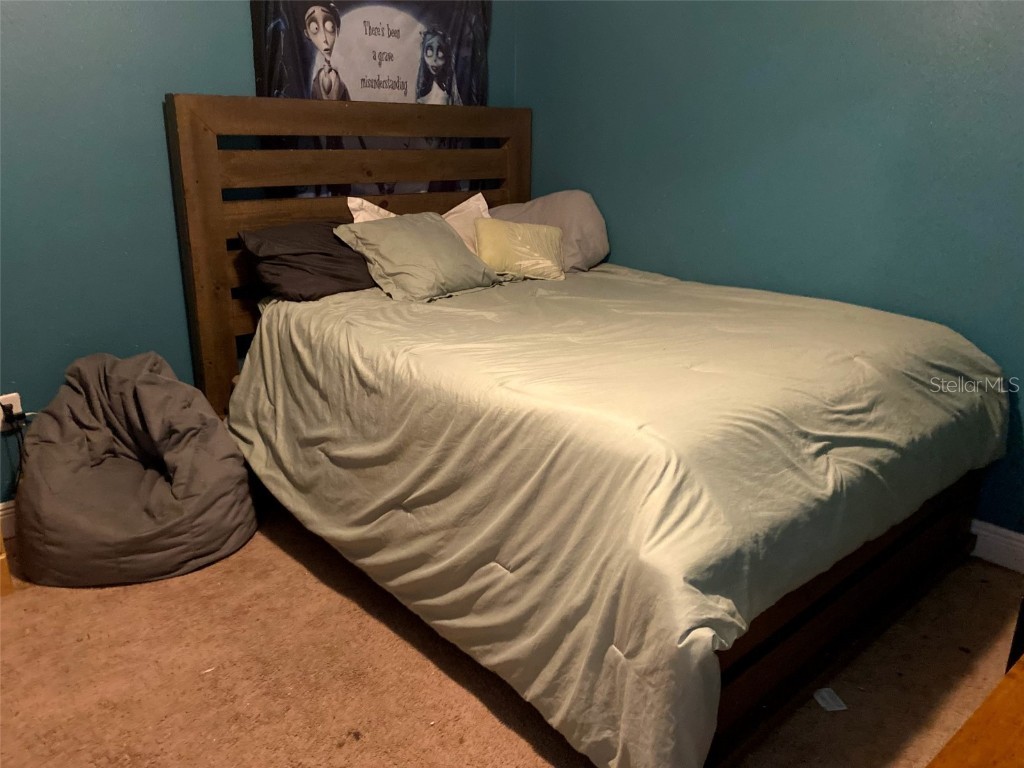 9007 49th Avenue E Palmetto FL 34221 W7875092 image15