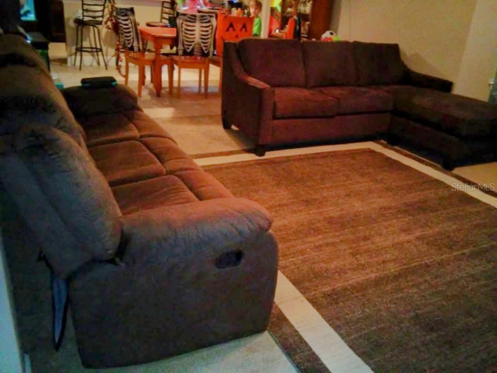 9007 49th Avenue E Palmetto FL 34221 W7875092 image8