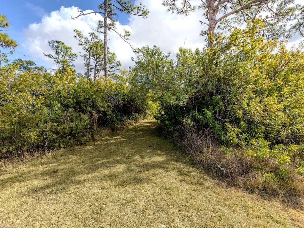 9008 Falcon Court Venice FL 34293 N6142160 image17
