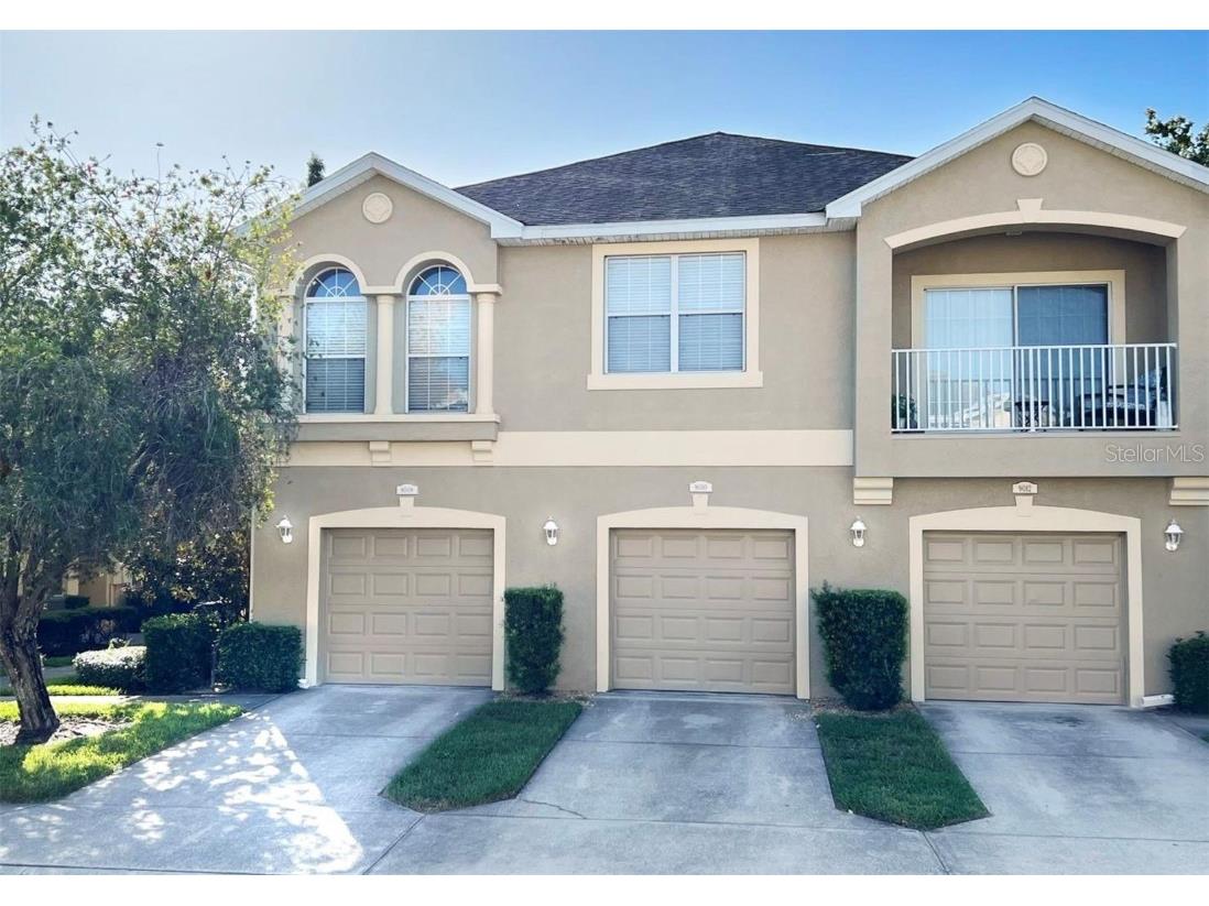 9008 Moonlit Meadows Loop Riverview FL 33578 T3481560 image1