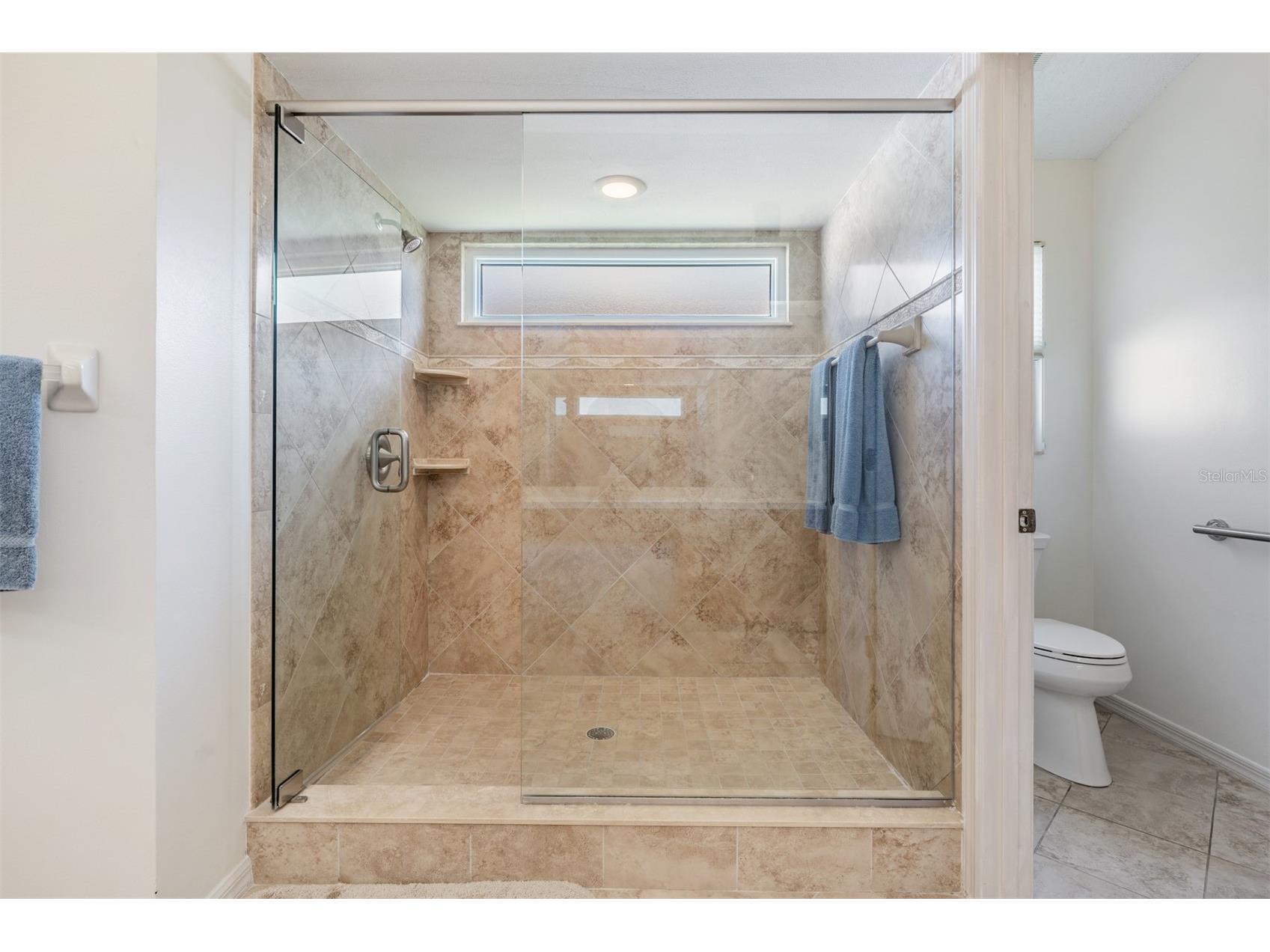 9008 Quail Creek Drive Tampa FL 33647 TB8500474 image25