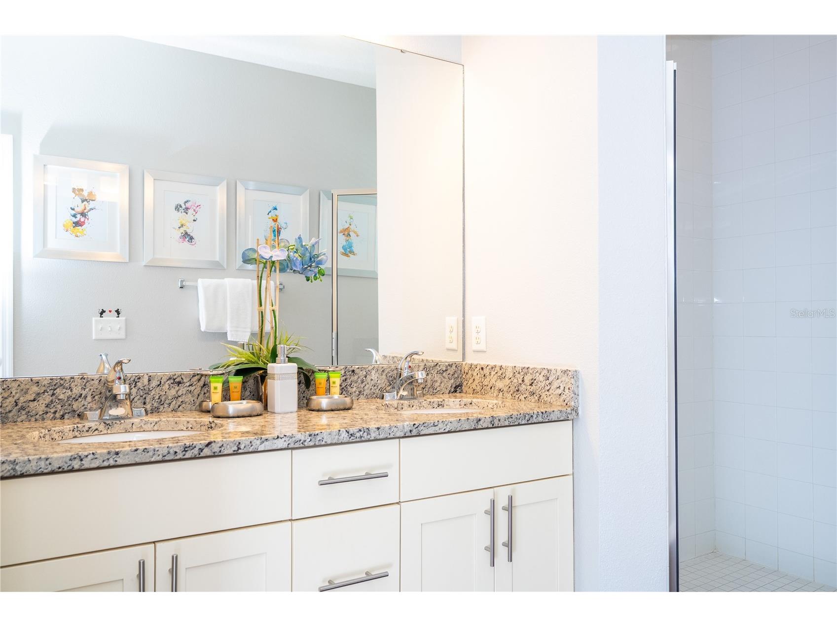 9008 Shine Drive Kissimmee FL 34747 O6341857 image40