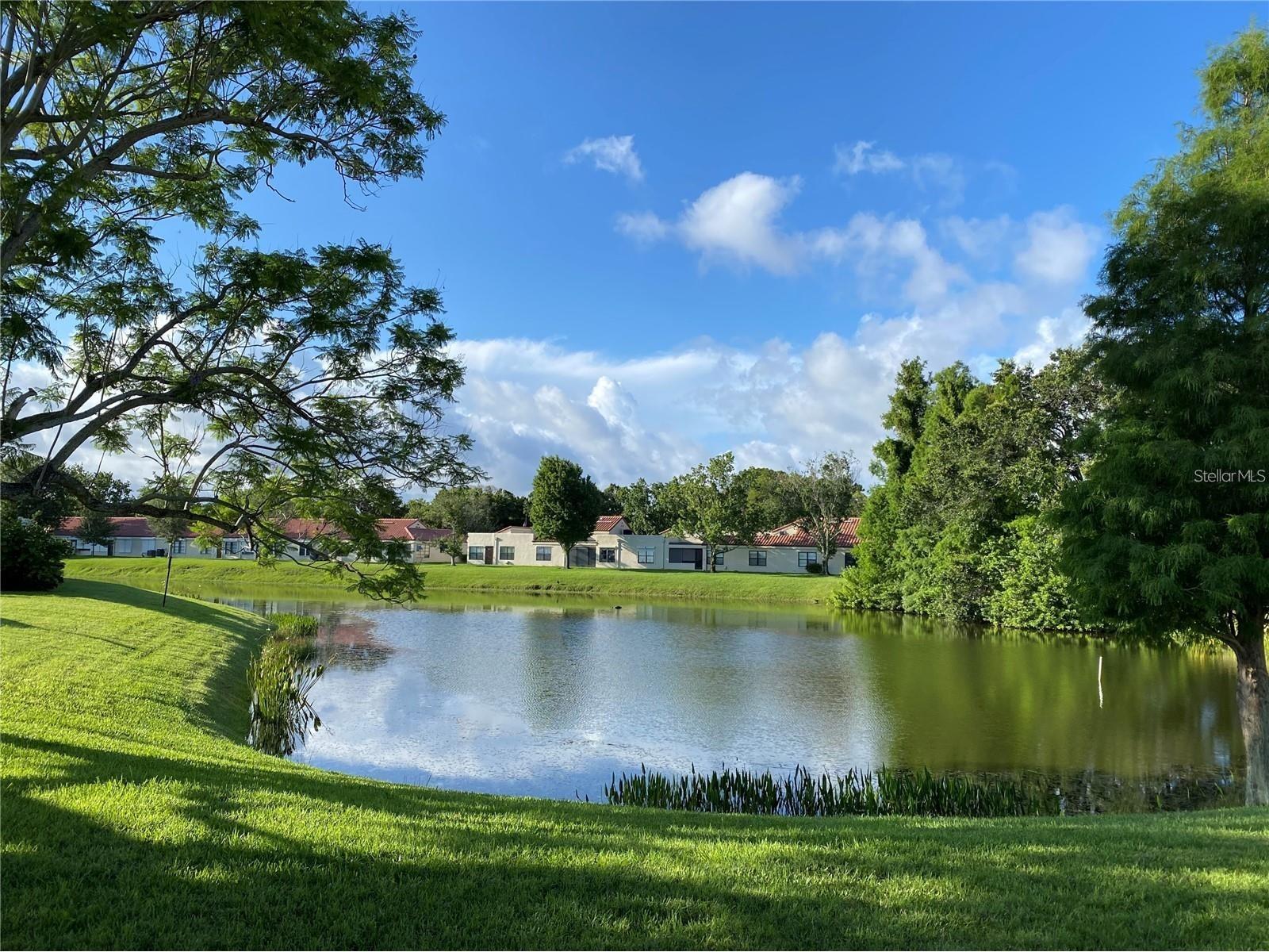 9009 41st Way N #5 Pinellas Park FL 33782 TB8507036 image1