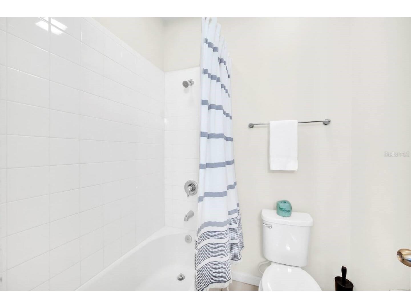 9009 Egret Mills Terrace Kissimmee FL 34747 O6401913 image30