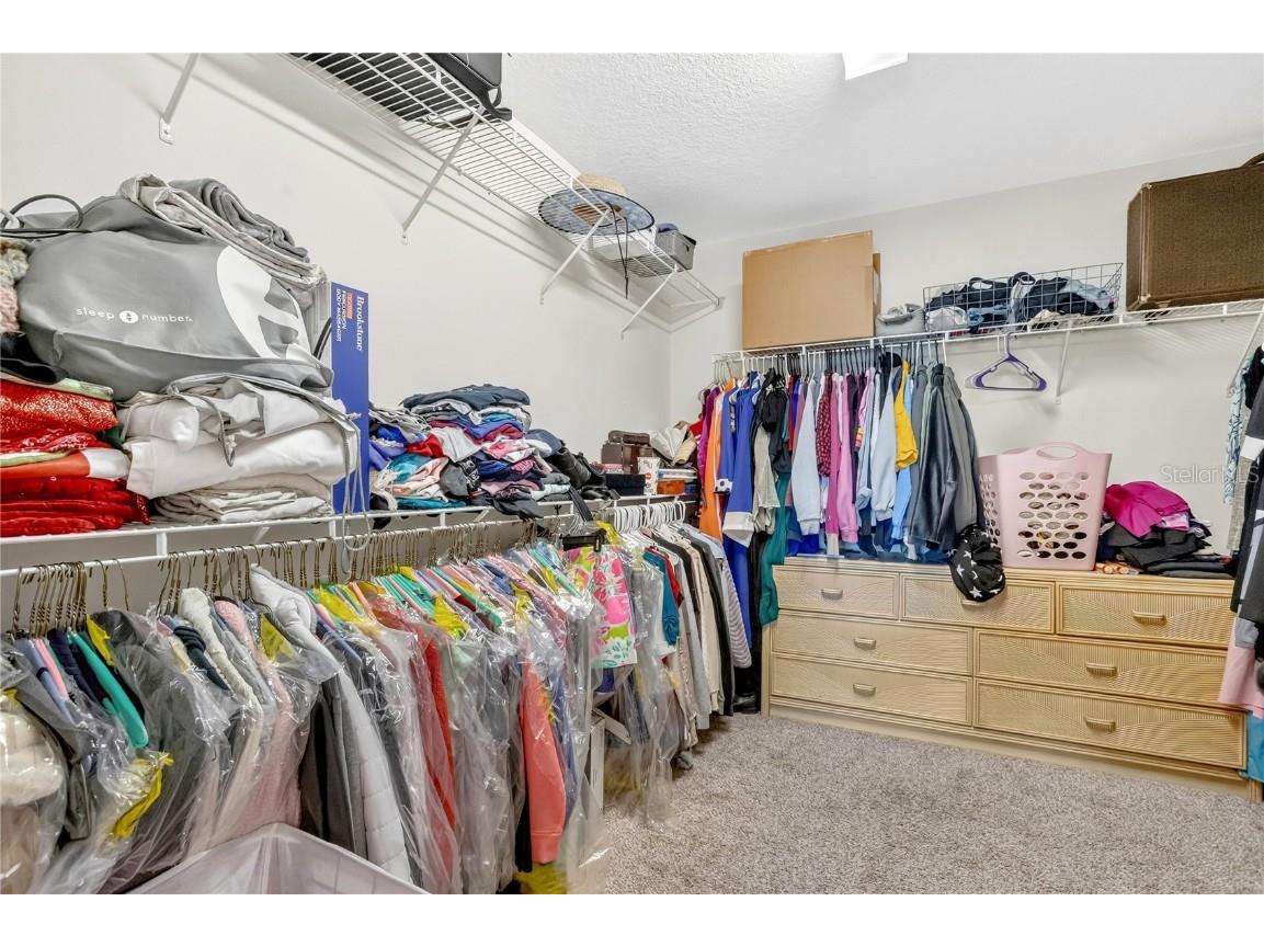 9009 Palm Key Avenue Oldsmar FL 34677 - TAMPA BAY TB8446684 image19