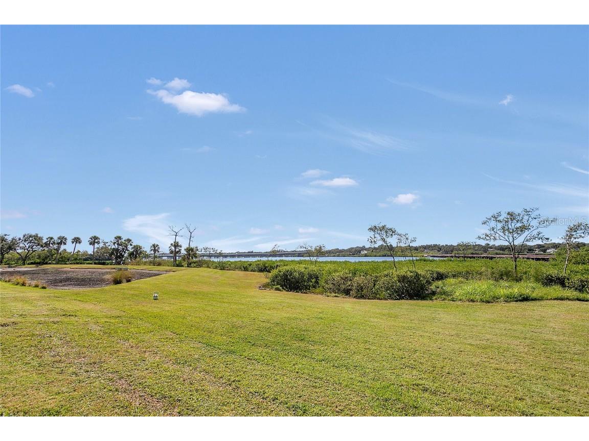 9009 Palm Key Avenue Oldsmar FL 34677 - TAMPA BAY TB8446684 image23