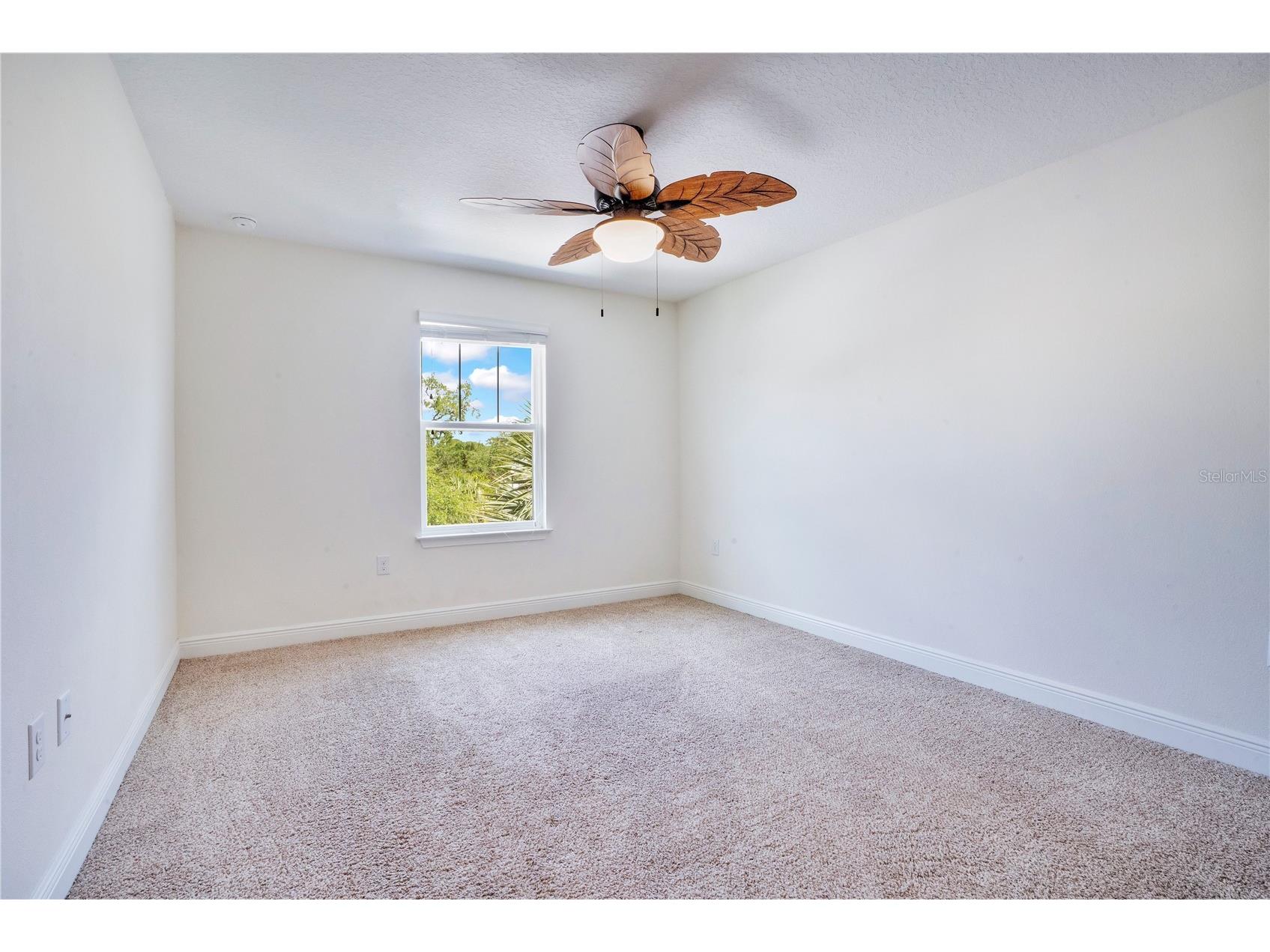9009 Palm Key Avenue Oldsmar FL 34677 - TAMPA BAY TB8507643 image20