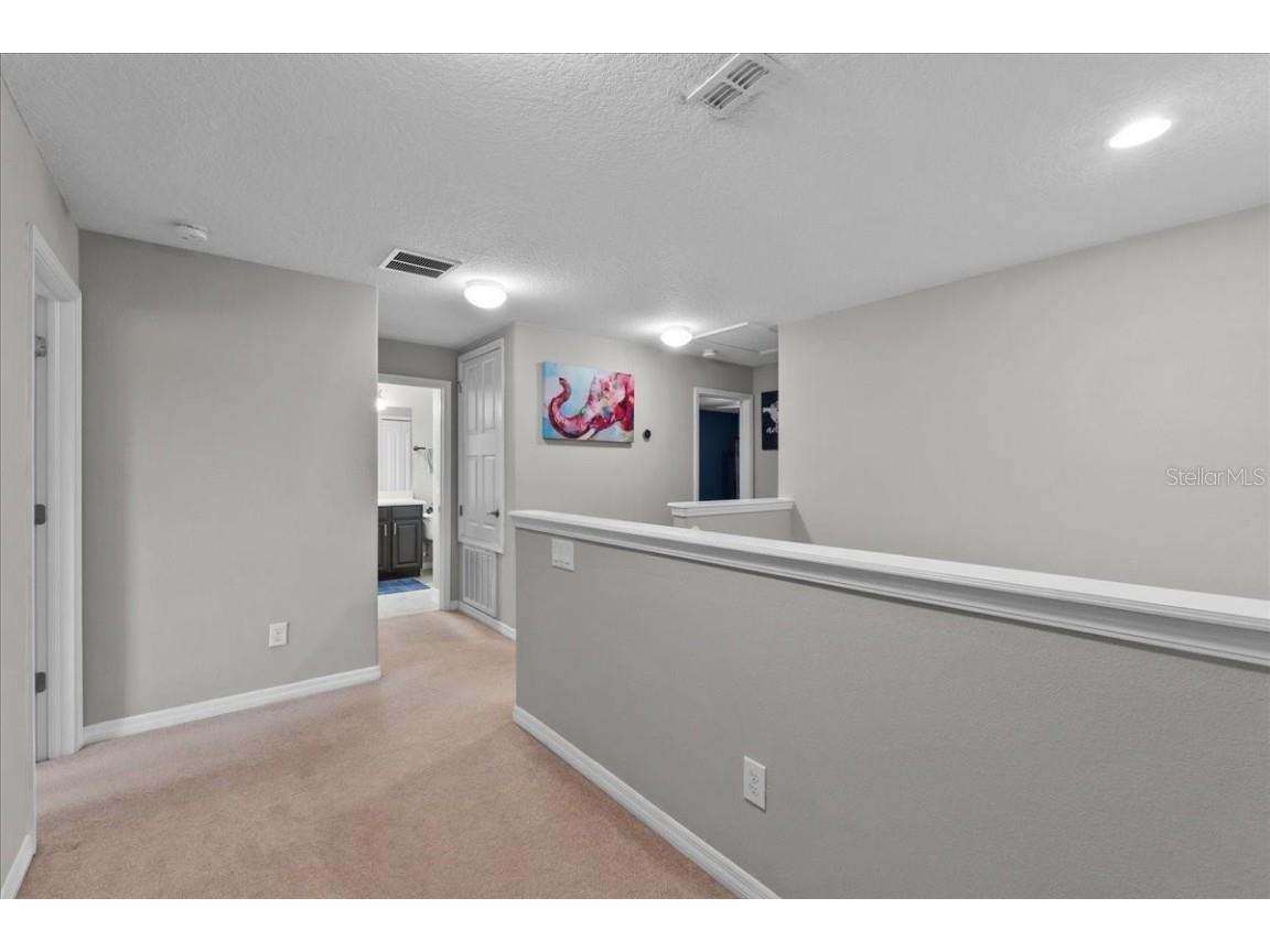 9009 Savannah Julip Lane Orlando FL 32832 O6304582 image25