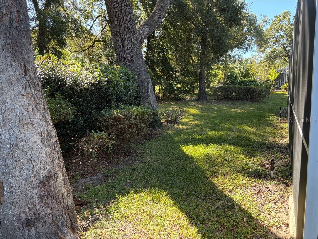 9009 SW 194th Court Dunnellon FL 34432 - RAINBOW RIVER OM711640 image56