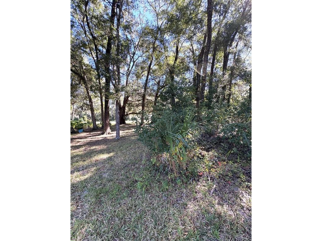 9009 SW 194th Court Dunnellon FL 34432 - RAINBOW RIVER OM711640 image58