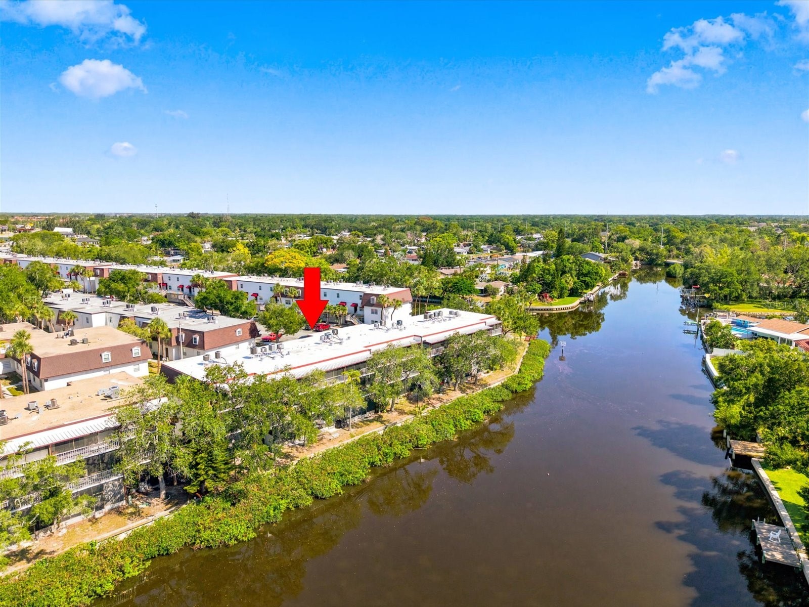 9009 Tudor Drive #G206 Tampa FL 33615 TB8523557 image4