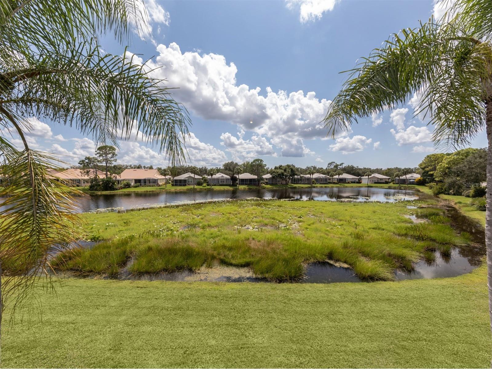 901 Addington Court #203 Venice FL 34293 N6121931 image23