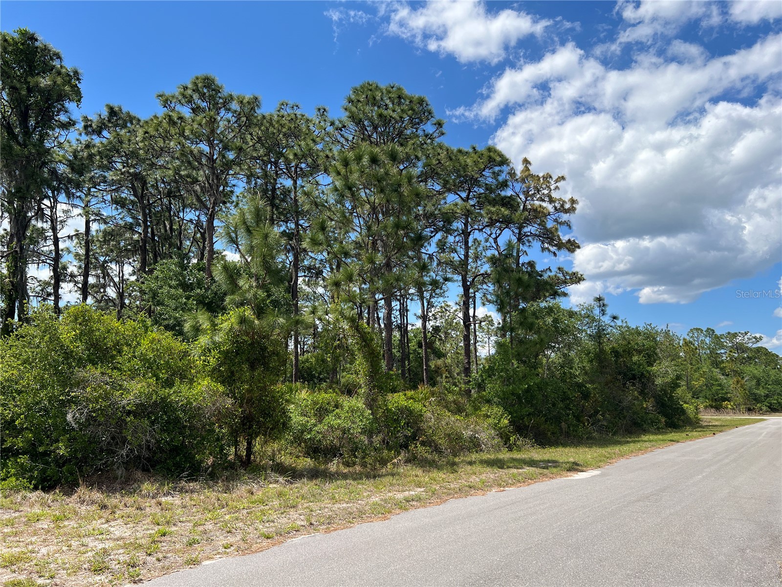901 Azalea Drive Indian Lake Estates FL 33855 O6402559 image1
