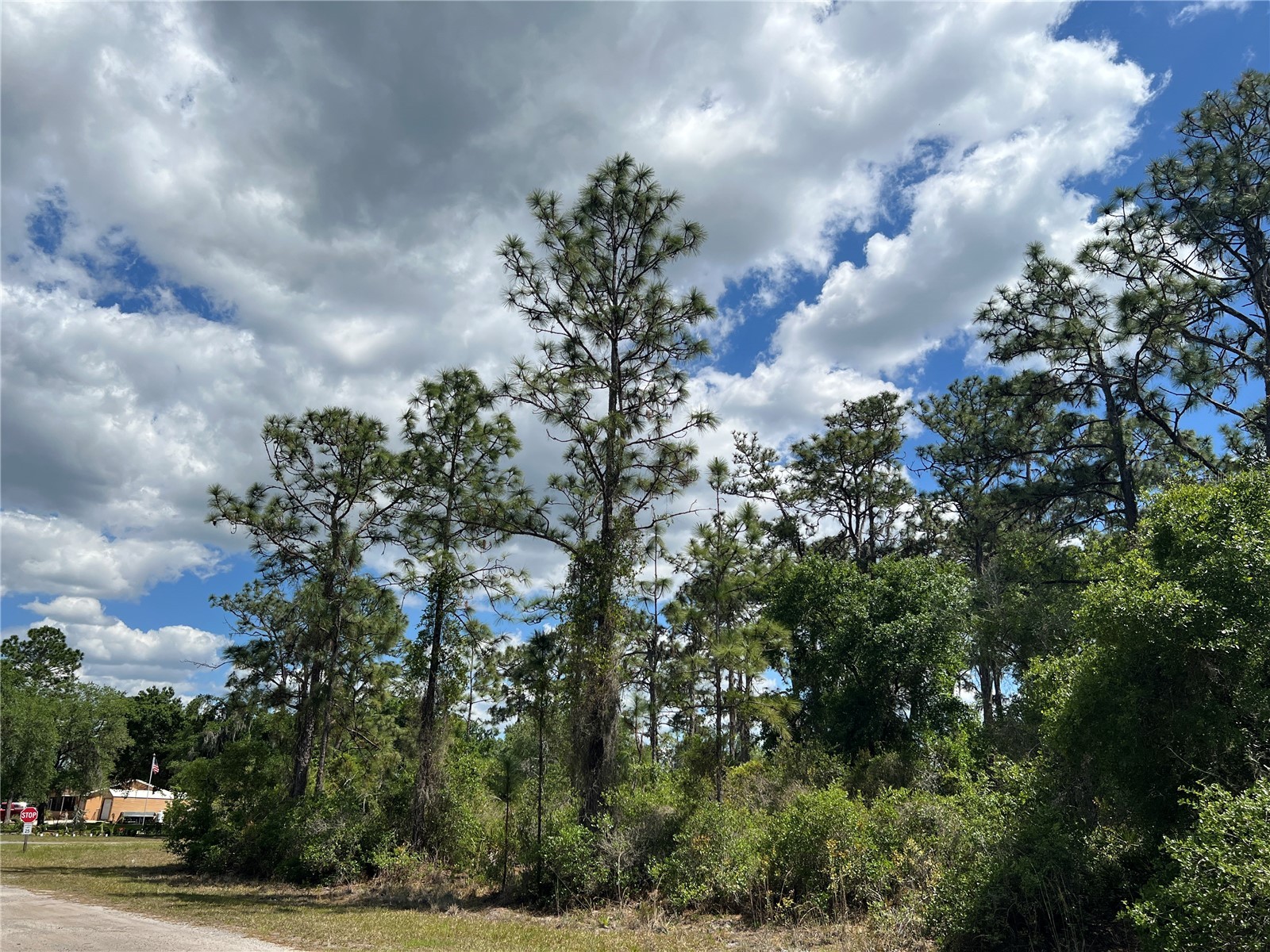 901 Azalea Drive Indian Lake Estates FL 33855 O6402559 image2