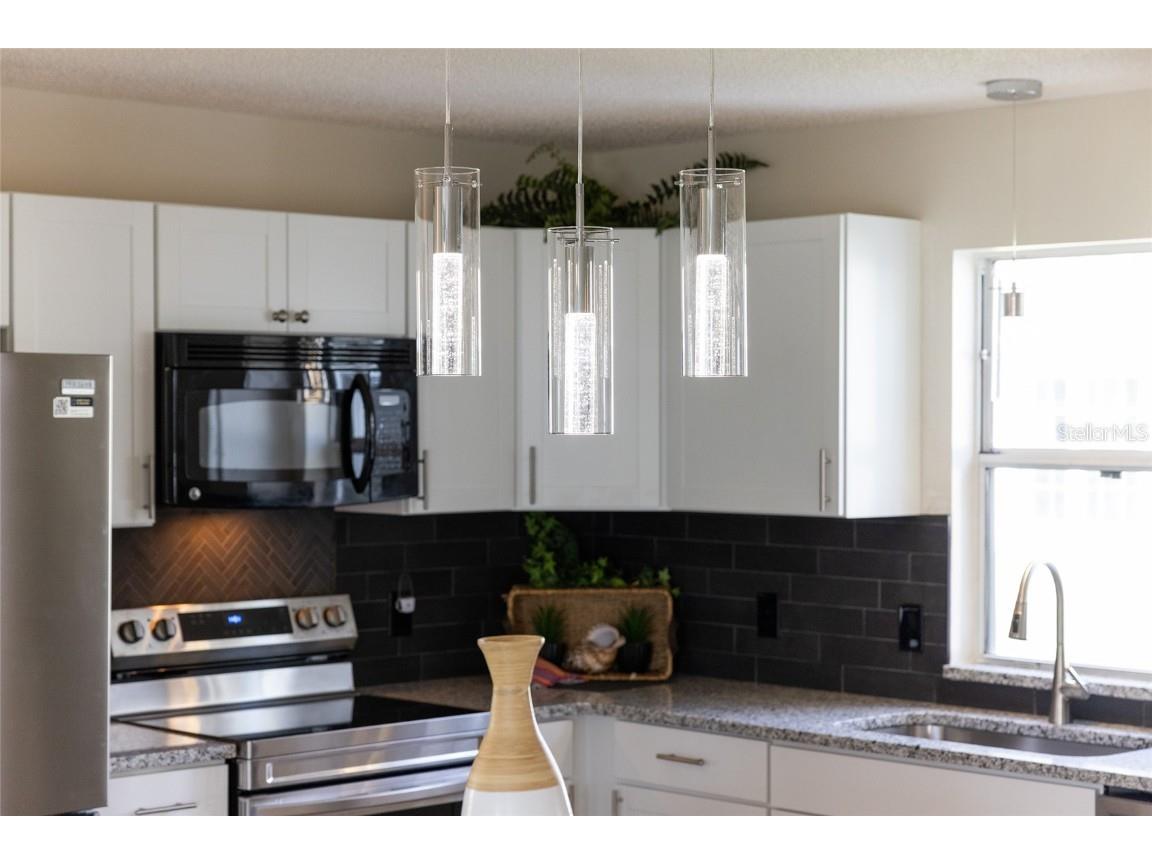 901 Chula Court The Villages FL 32159 G5092725 image7