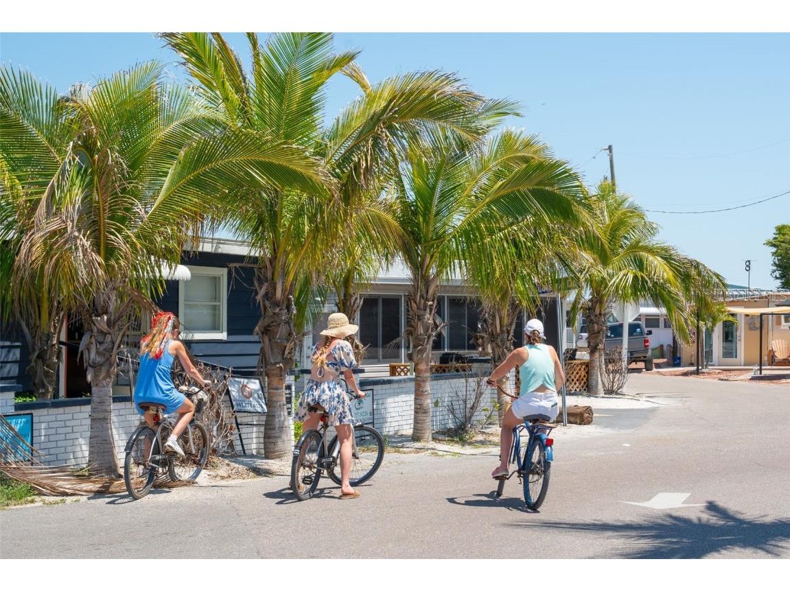 901 Gulf Drive S #14 Bradenton Beach FL 34217 A4671294 image60