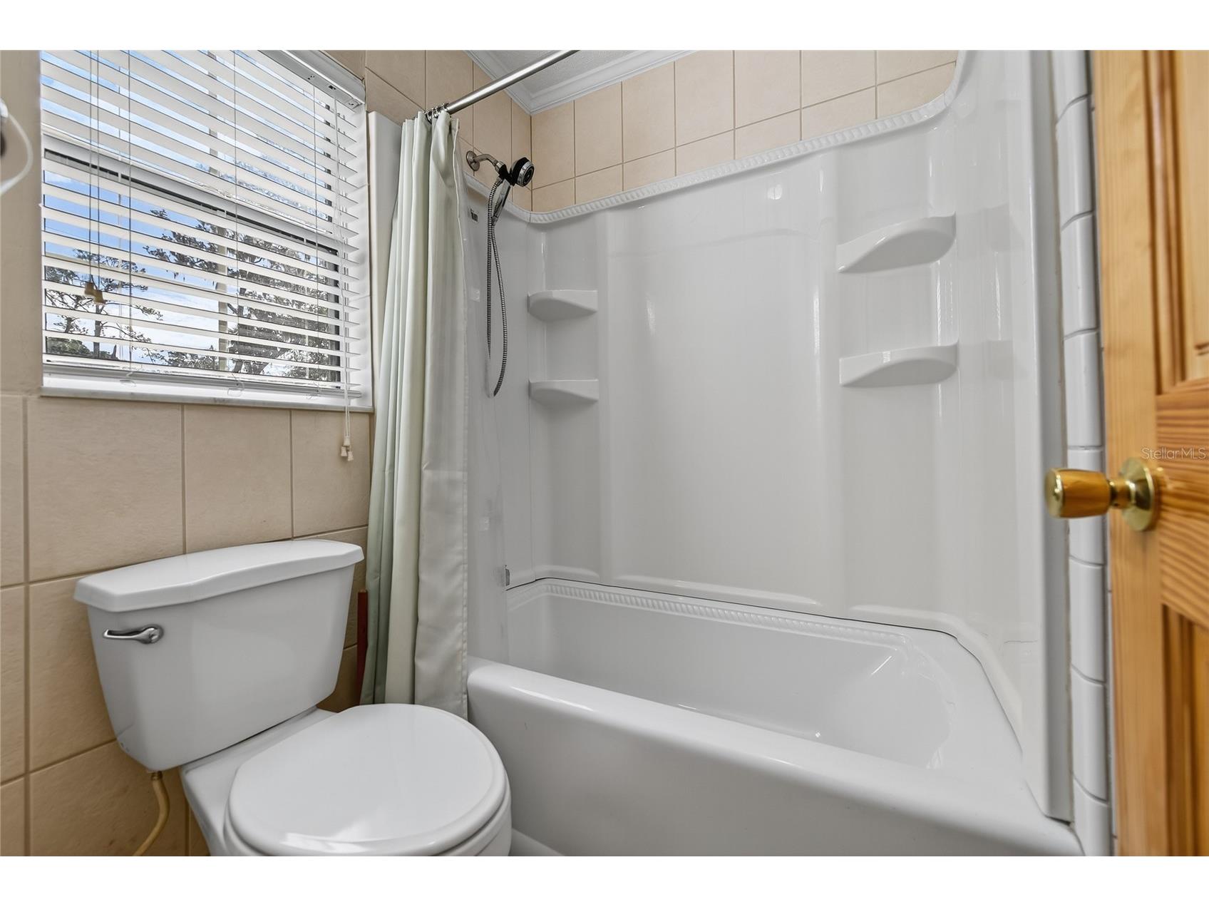 901 Kingsport Court Holly Hill FL 32117 TB8421838 image12