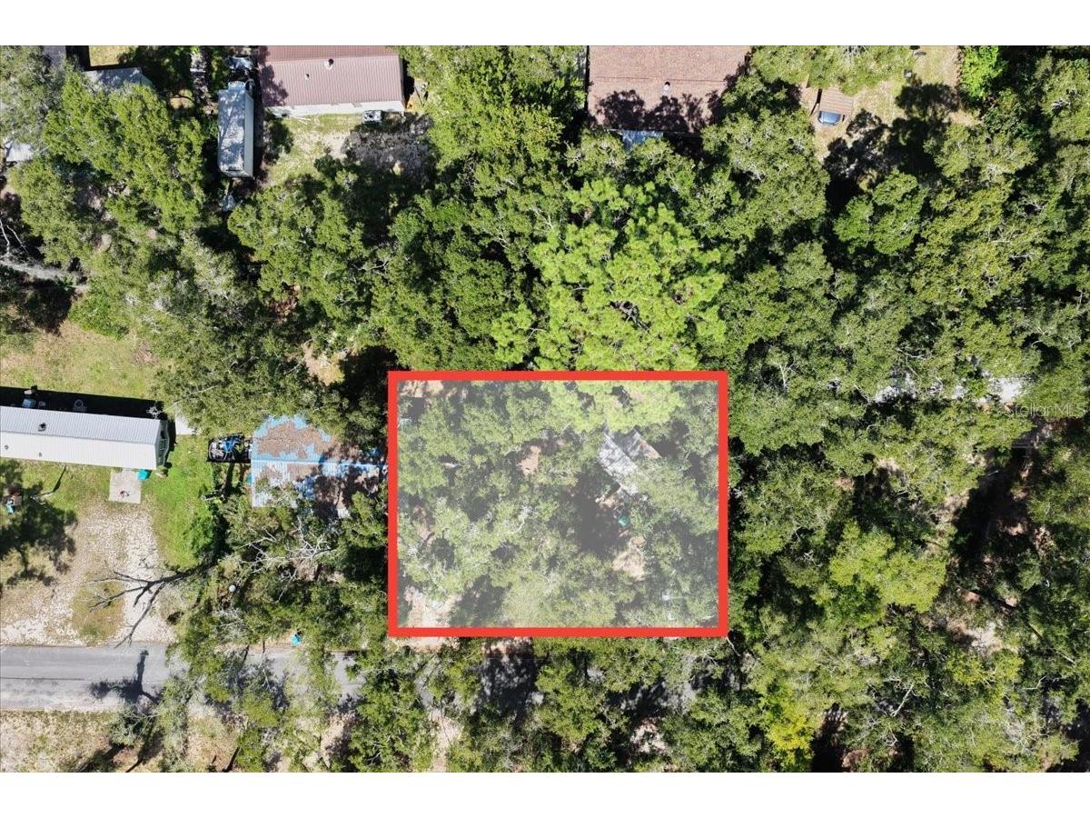 901 NE 11th Avenue Trenton FL 32693 GC540259 image15