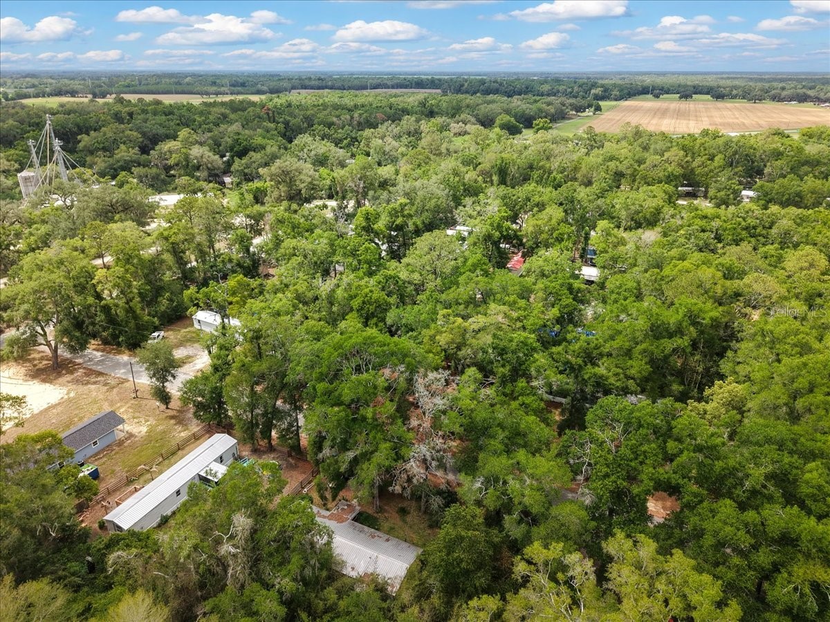 901 NE 11th Avenue Trenton FL 32693 GC540259 image22