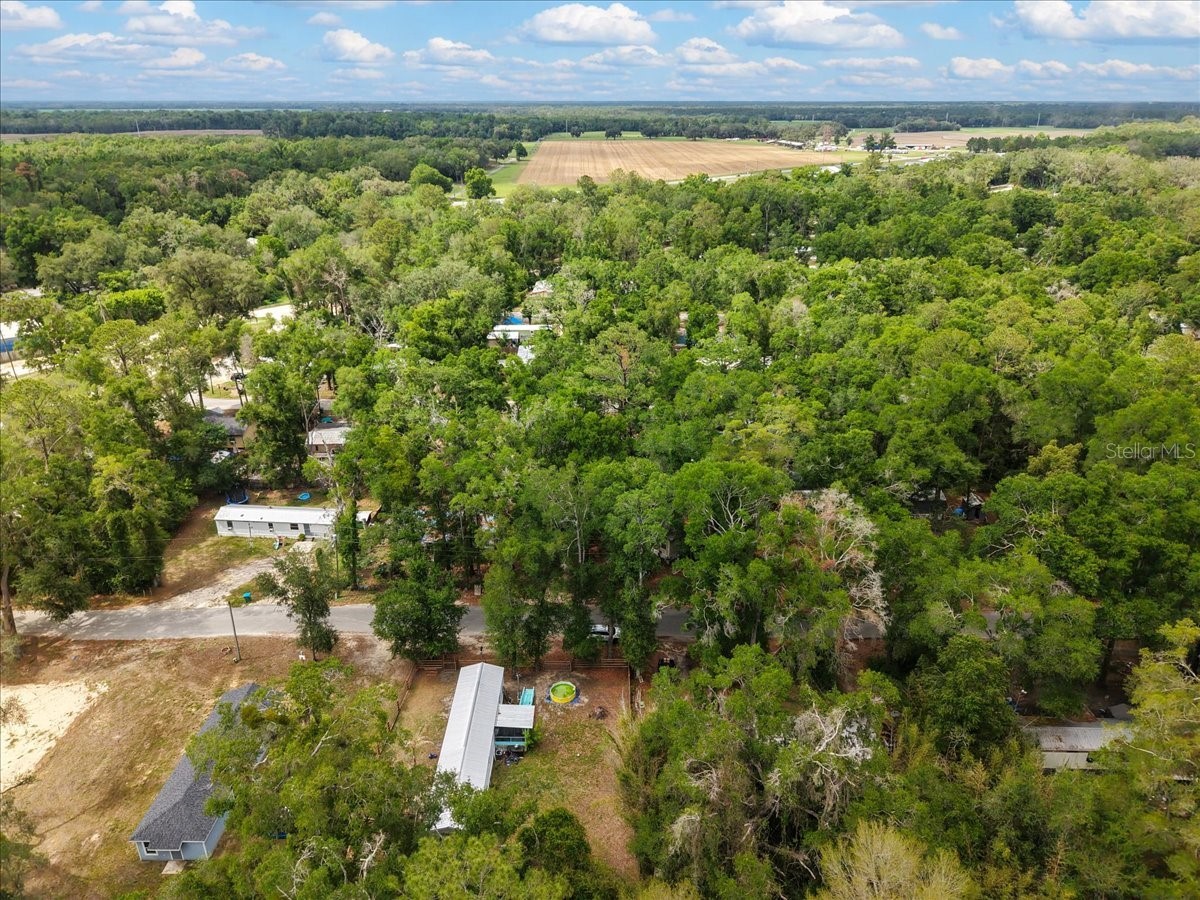 901 NE 11th Avenue Trenton FL 32693 GC540259 image23