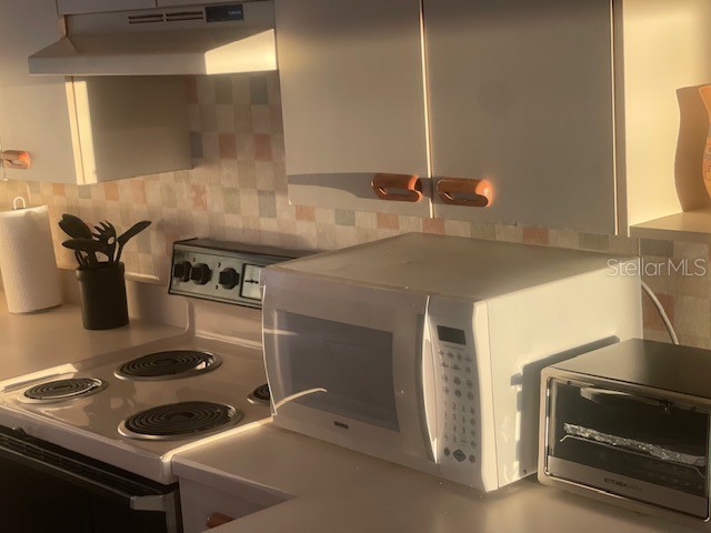 901 Ocean Marina Drive #901 Flagler Beach FL 32136 FC315078 image4