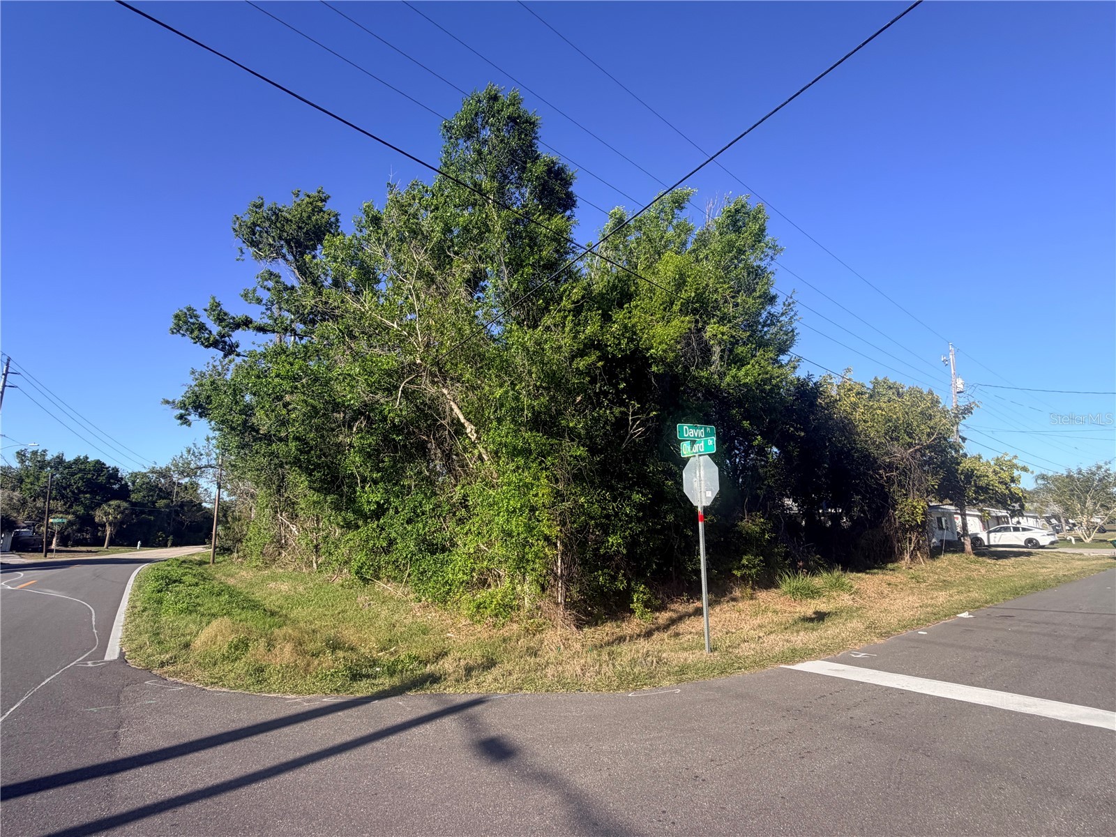 901 Oxford Drive Englewood FL 34223 D6146730 image1