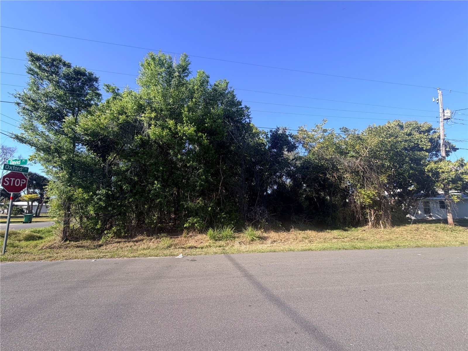 901 Oxford Drive Englewood FL 34223 D6146730 image2