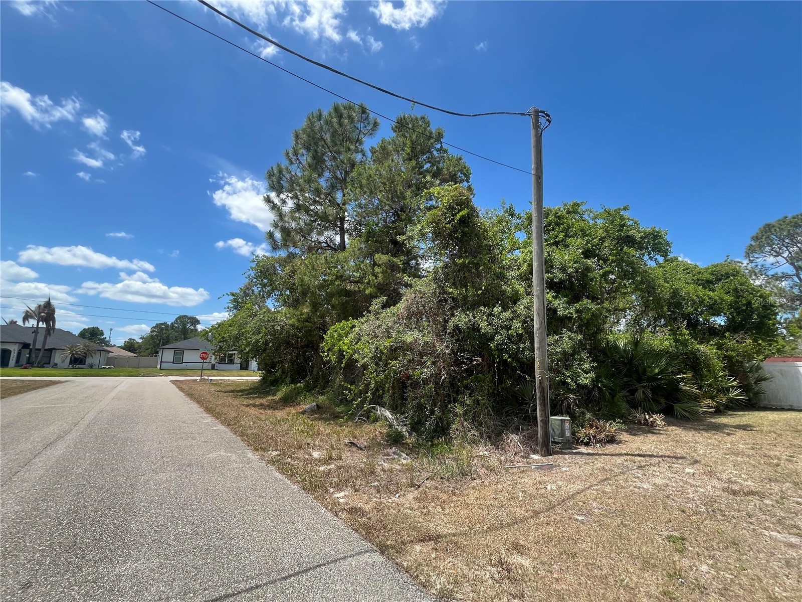 901 Replica Avenue Sebring FL 33872 O6404228 image2