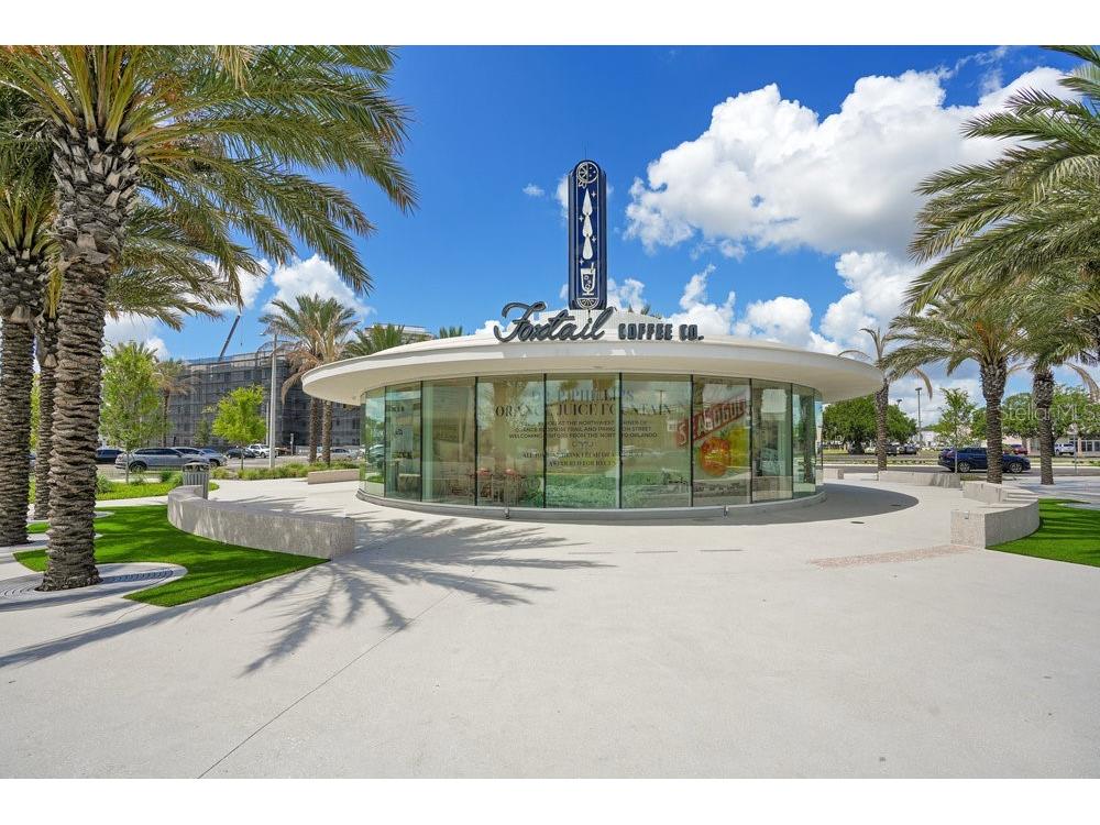 901 Shady Lane Drive Orlando FL 32804 O6360057 image33