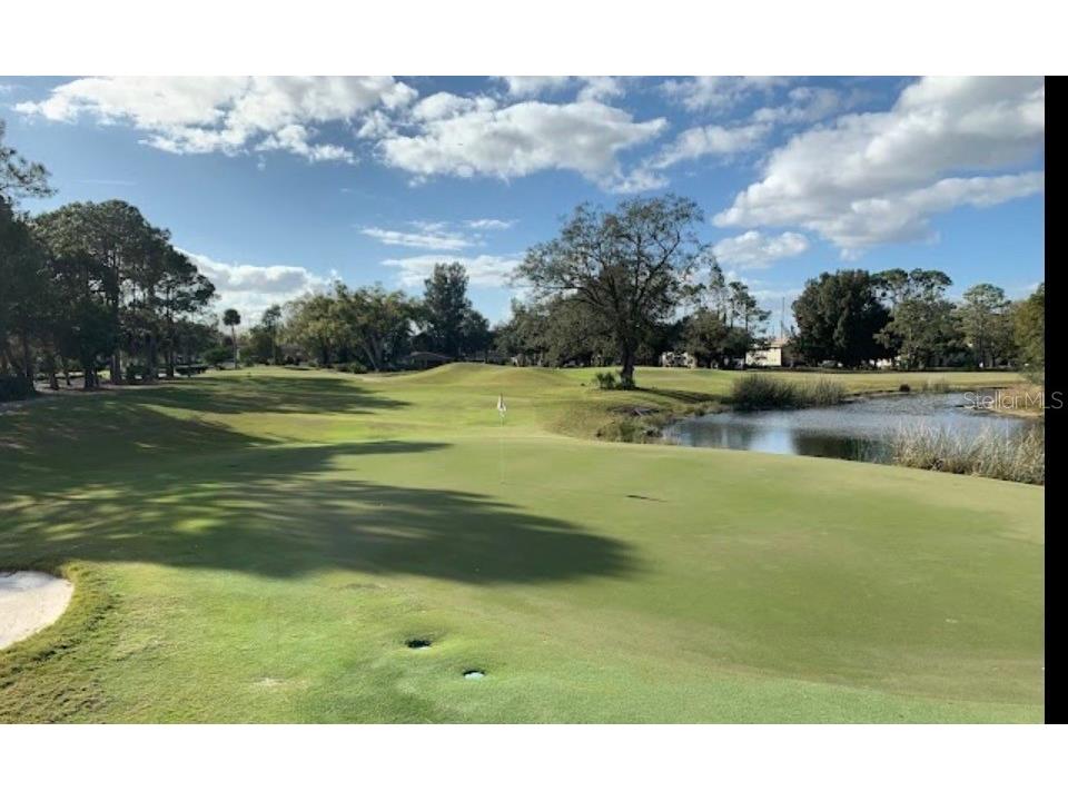 901 Shady Lane Drive Orlando FL 32804 O6360057 image36