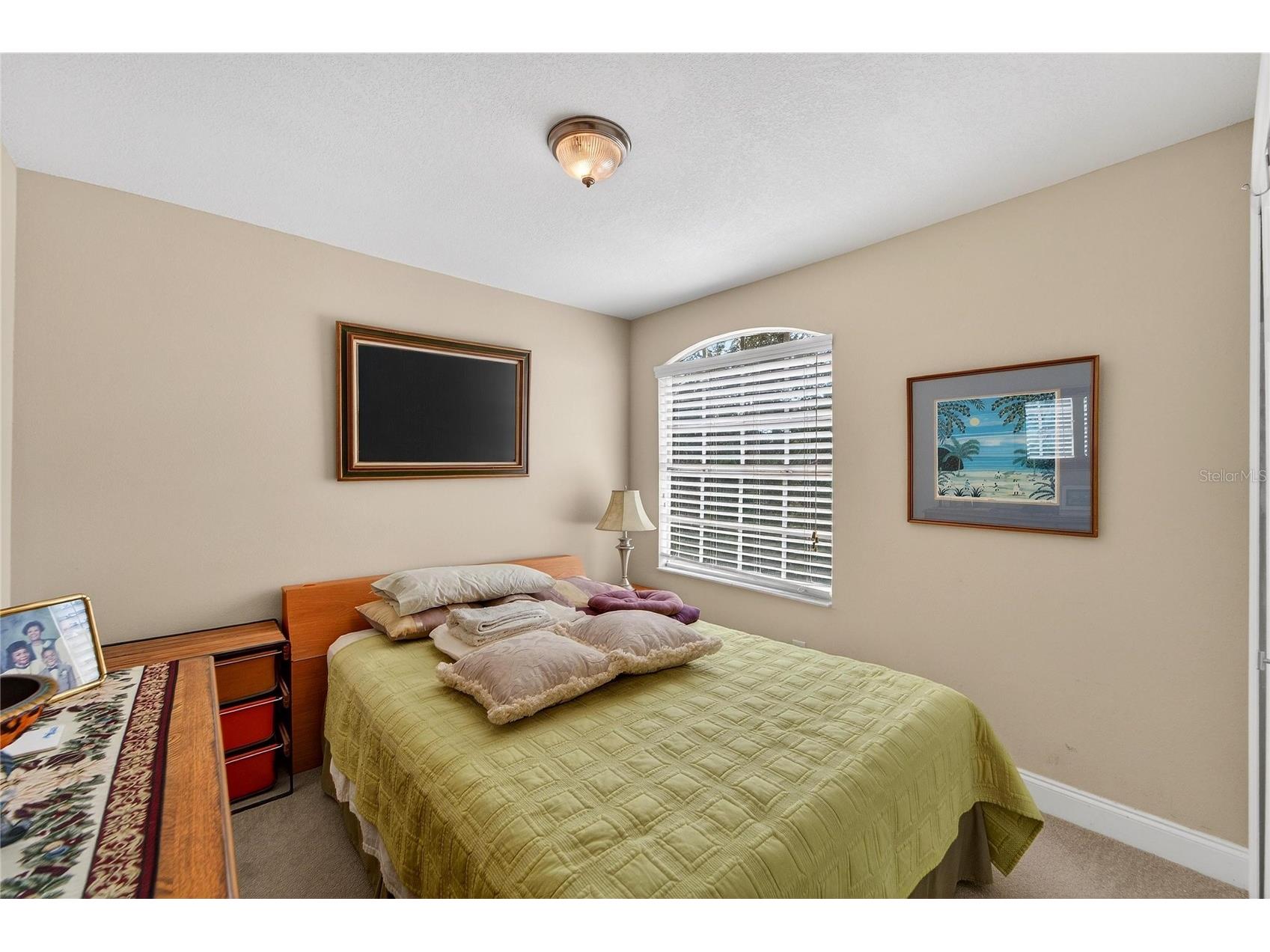 901 Shagos Drive Apollo Beach FL 33572 TB8468447 image43